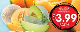 Spudshed Large Whole Rockmelon or Honey Dew offer