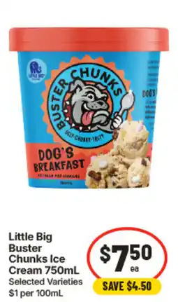 IGA Little Big Buster Chunks Ice Cream offer
