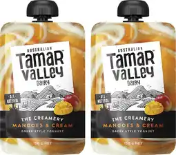 Coles Tamar Valley Dairy The Creamery Greek Style Yoghurt Pouch offer