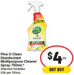 IGA Pine O Cleen Disinfectant Multipurpose Cleaner Spray offer