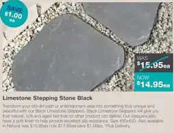 Nuway Limestone Stepping Stone Black offer