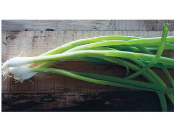 Foodworks Field fresh spring onions offer