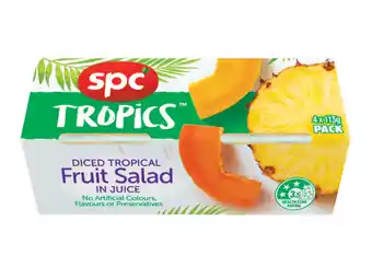 Spc fruit 4 pack x 113/120g