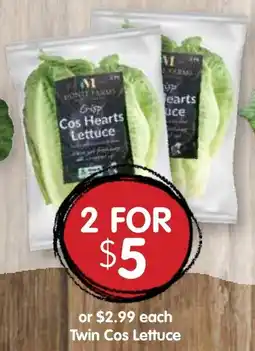 Spudshed Twin Cos Lettuce offer