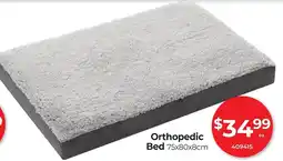 Red Dot Orthopedic Bed offer