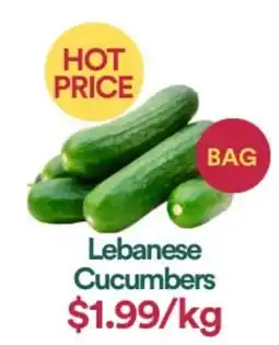 WHOLEFARMS Lebanese Cucumbers offer