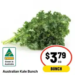 Ritchies Australian Kale Bunch offer