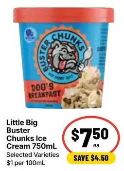 Ritchies Little Big Buster Chunks Ice Cream offer