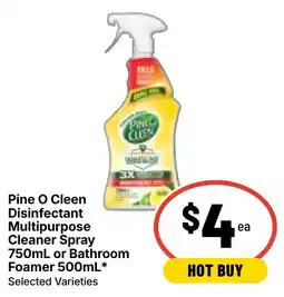 Ritchies Pine O Cleen Disinfectant Multipurpose Cleaner Spray or Bathroom Foamer offer