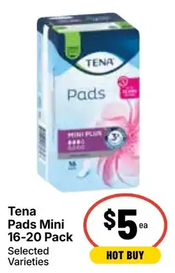 Ritchies Tena Pads Mini offer