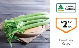 Foodworks Farm Fresh Celery offer