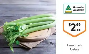 Foodworks Farm Fresh Celery offer