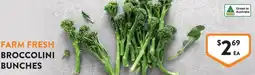 Foodworks broccolini bunches offer