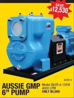 Aussie Pumps Aussie gmp 6 pump offer