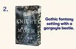 BIG W The knight and the moth by rachel gillig offer