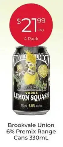 Porters Brookvale Union 6% Premix Range Cans offer