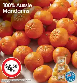 Coles Coles Australian Mini Mandarins Pack offer