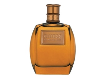 Terry White Guess by marciano for him edt spray 100ml offer