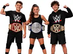Toymate WWE Championship Wrestling Belt Assorted offer