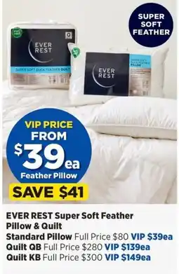 Spotlight Ever Rest Super Soft Feather Pillow & Quilt offer