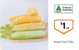 Foodworks Sweet Corn Cobs offer