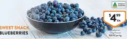 Foodworks Sweet Snack Blueberries offer
