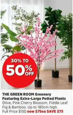 Spotlight THE GREEN ROOM Greenery Featuring Extra-Large Potted Plants offer