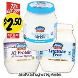 NQR Jalna Pot Set Yoghurt Varieties offer
