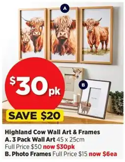 Spotlight Highland Cow Wall Art & Frames offer