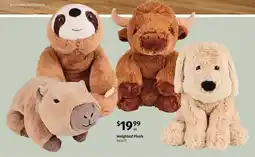 ALDI Weighted Plush offer