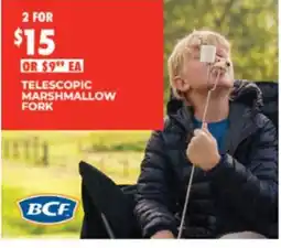 BCF Telescopic Marshmallow Fork offer