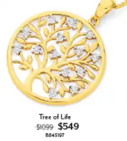 Angus & Coote Tree of Life offer