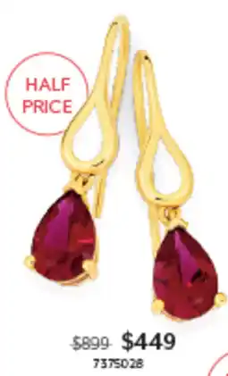 Angus & Coote Earrings with Red Gemstone offer