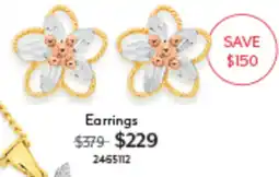 Angus & Coote Earrings offer