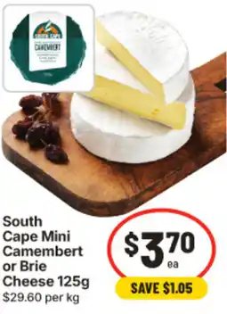 IGA South Cape Mini Camembert or Brie Cheese offer