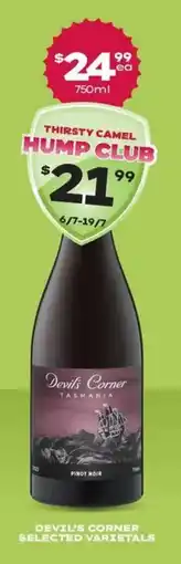 Thirsty Camel Devils corner selected varietals offer