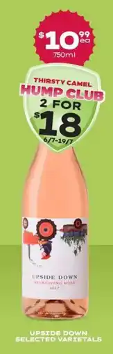 Thirsty Camel Upside down selected varietals offer