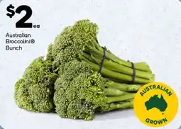 Woolworths Australian Broccolini® Bunch offer