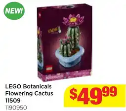 Mr Toys LEGO Botanicals Flowering Cactus offer