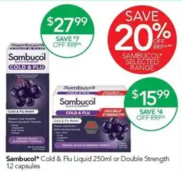 Terry White Sambucol Cold & Flu Liquid offer