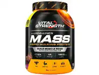 Chemist Warehouse Vital Strength Hardgainer Mass Rapid Bulking Protein Chocolate Blast 4.5kg offer