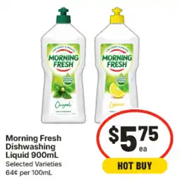 IGA Morning Fresh Dishwashing Liquid offer