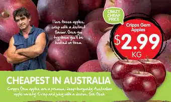 Spudshed Cripps Gem Apples offer