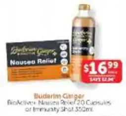WHOLELIFE Budarim Ginger BioActive+ Nausea Relief offer