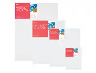 Officeworks Born Canvas Boards offer