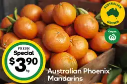 Woolworths Australian Phoenix Mandarins offer