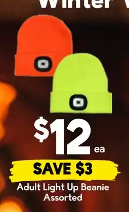 Drakes Adult Light Up Beanie Assorted offer