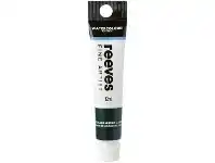Officeworks Reeves Watercolour Paint 12mL Light Green offer
