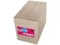 Tudor B4 Plainface Envelopes 250 Pack