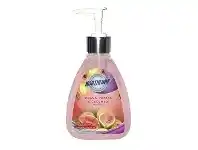 Officeworks Northfork Liquid Handwash Guava, Papaya and Cucumber 250mL offer